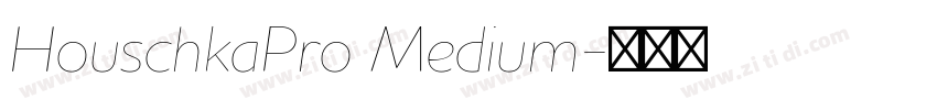 HouschkaPro Medium字体转换 HouschkaPro Medium字体转换